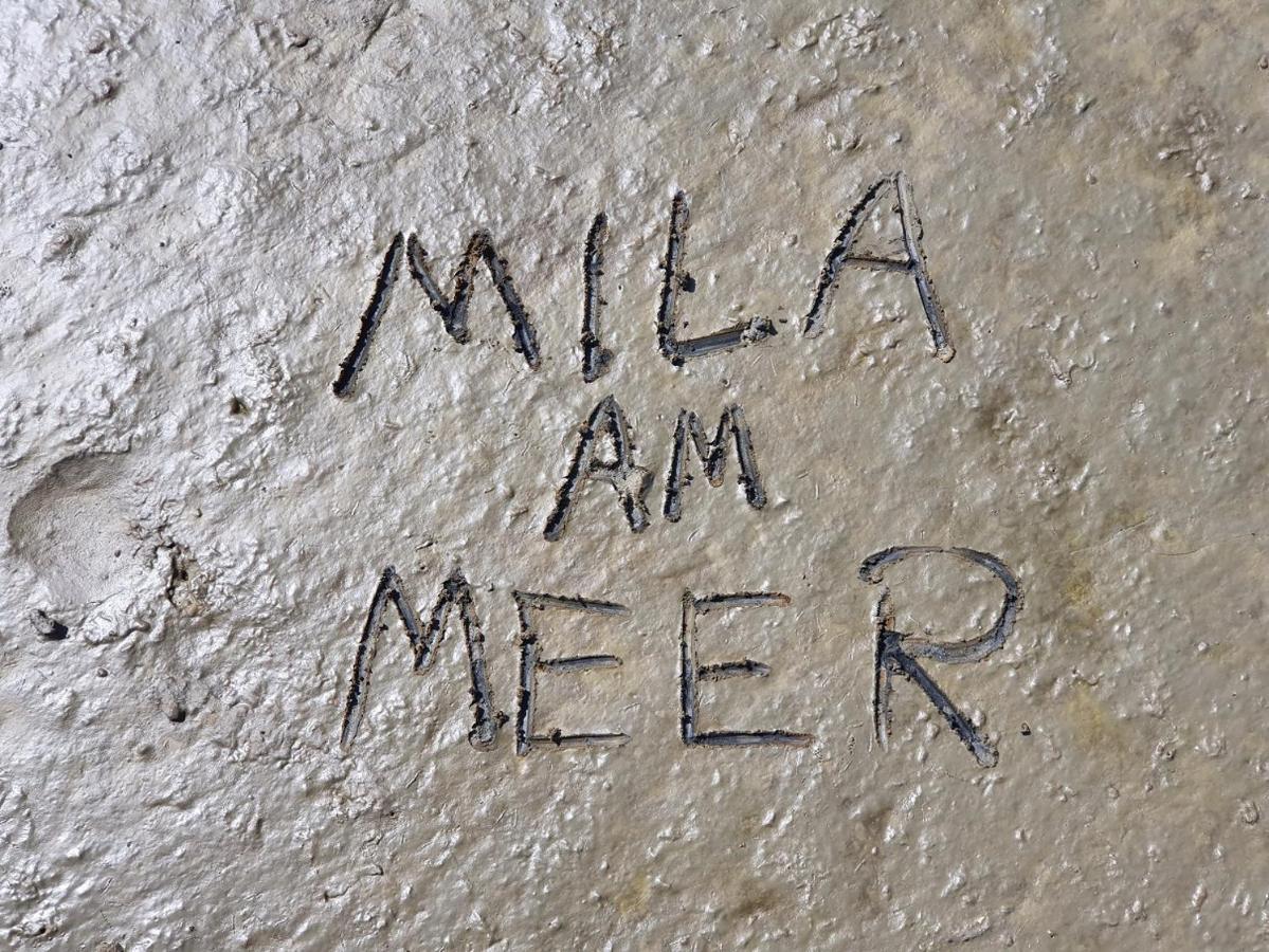 Mila Am Meer Neuharlingersiel Εξωτερικό φωτογραφία